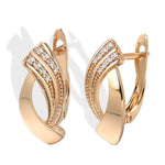 Glossy Dangle Earrings
